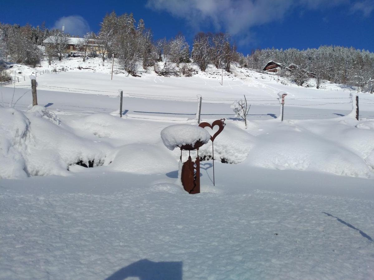 דירות Seebach  Ferienhaus Gstoderblick מראה חיצוני תמונה