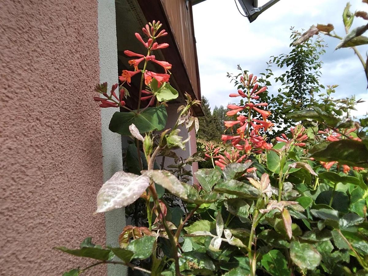 Seebach  Ferienhaus Gstoderblick מראה חיצוני תמונה