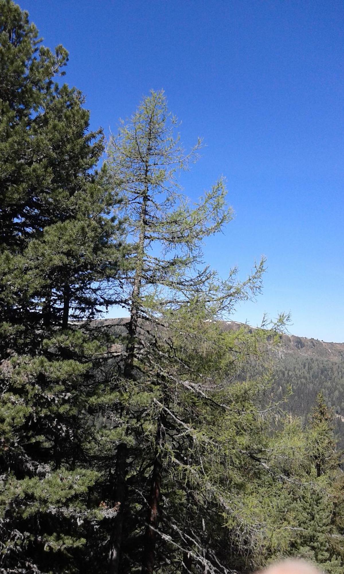 Seebach  Ferienhaus Gstoderblick מראה חיצוני תמונה